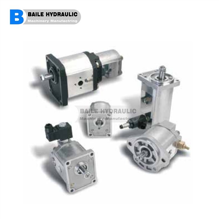 CASAPPA KAPPA Series Cast Iron Body Gear Pumps And Motors K.20-4 K.20*6,3K.20-8 K. 20*11,2 K.20-14 K.20-16 K. 20*20 K.20-25 K. 20-31,5 K.30-27 K.30-34 K.30-38 K.30-43 K.30-51 K.30*56 K.30*61 K.30*73