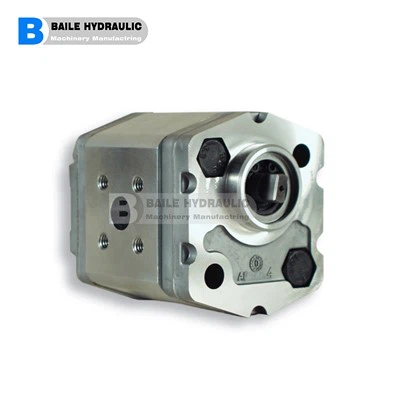 MARZOCCHI GEAR PUMP K1P KL1P KF1P SERIES KL1P D 16G KL1P D 2G KL1P D 25 G KL1P D 3,3 G KL1P D 4,2 G KL1P D 5G KL1P D 5,8 G KL1P D 6,7 GKLIP D 7.5 G